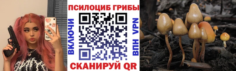 Галлюциногенные грибы мицелий  Нерехта 